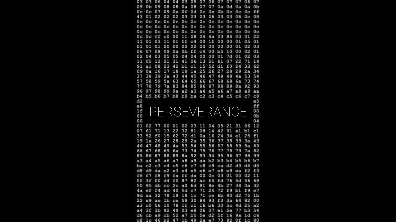 Perseverance
