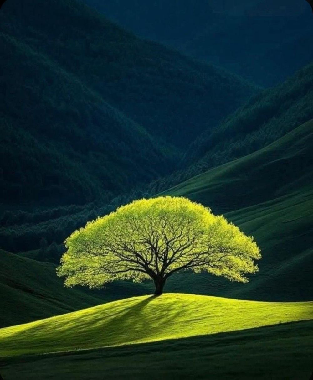 green